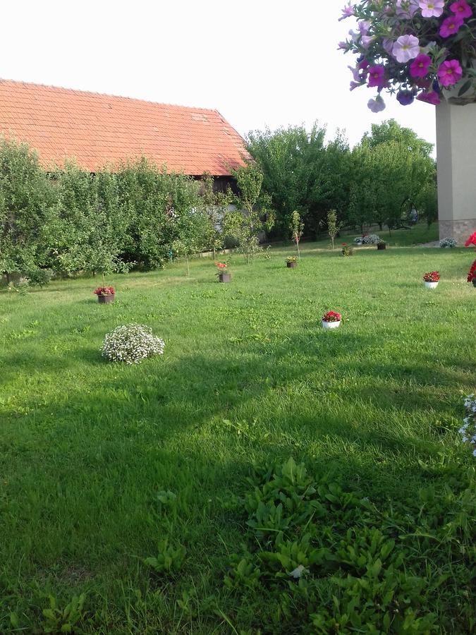 Pensiunea Abel Hotel Mihai Viteazu  ภายนอก รูปภาพ
