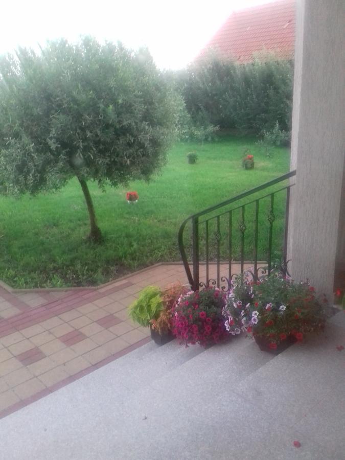 Pensiunea Abel Hotel Mihai Viteazu  ภายนอก รูปภาพ