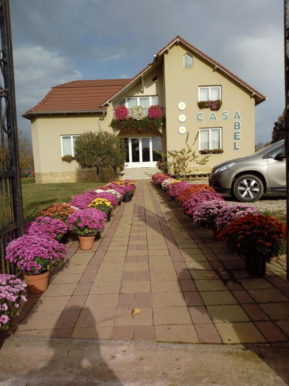 Pensiunea Abel Hotel Mihai Viteazu  ภายนอก รูปภาพ