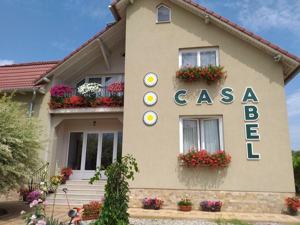 Pensiunea Abel Hotel Mihai Viteazu  ภายนอก รูปภาพ