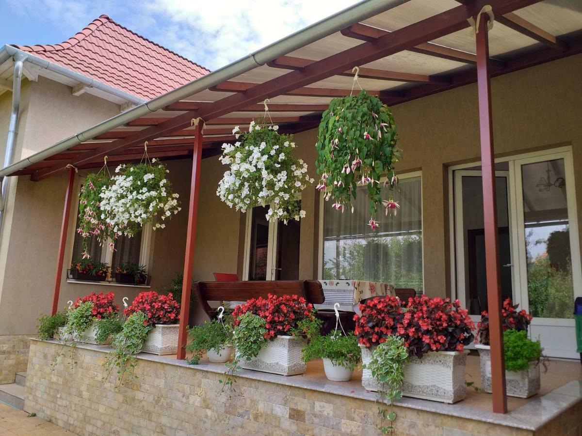 Pensiunea Abel Hotel Mihai Viteazu  ภายนอก รูปภาพ