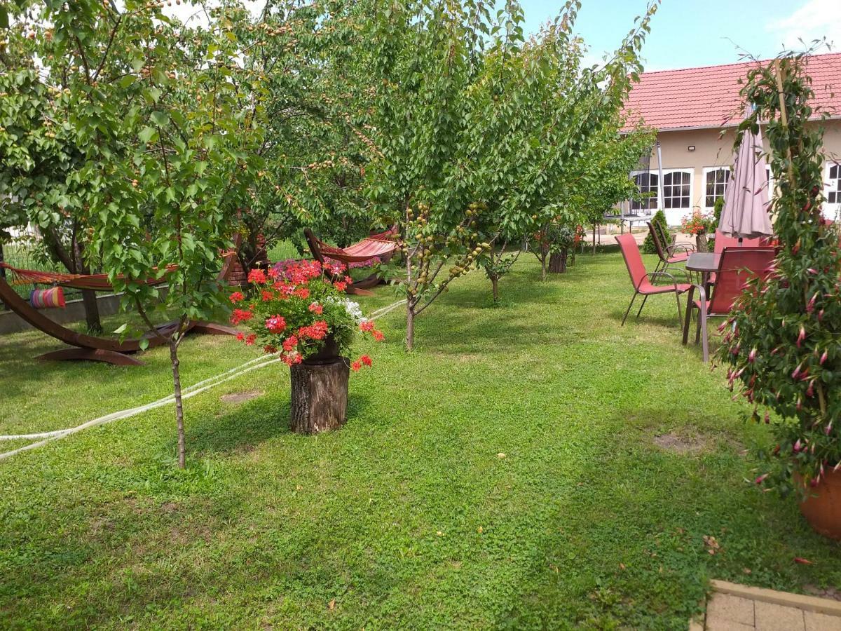 Pensiunea Abel Hotel Mihai Viteazu  ภายนอก รูปภาพ